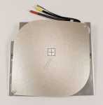 Hot Plate - 1069101 Inductor 210 To Ser No [Amica]