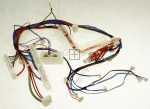 Bosch Siemens Harness - 12029066 Cable Harness
