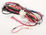 Harness - 1171967241 Harness Complete [Electrolux Aeg]